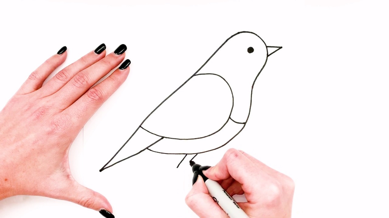 How to Draw Bird